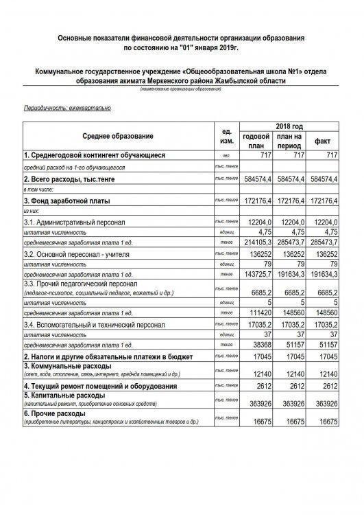 Основные показатели финансовой деятельности организации образования по состоянию на "01" января 2019г.